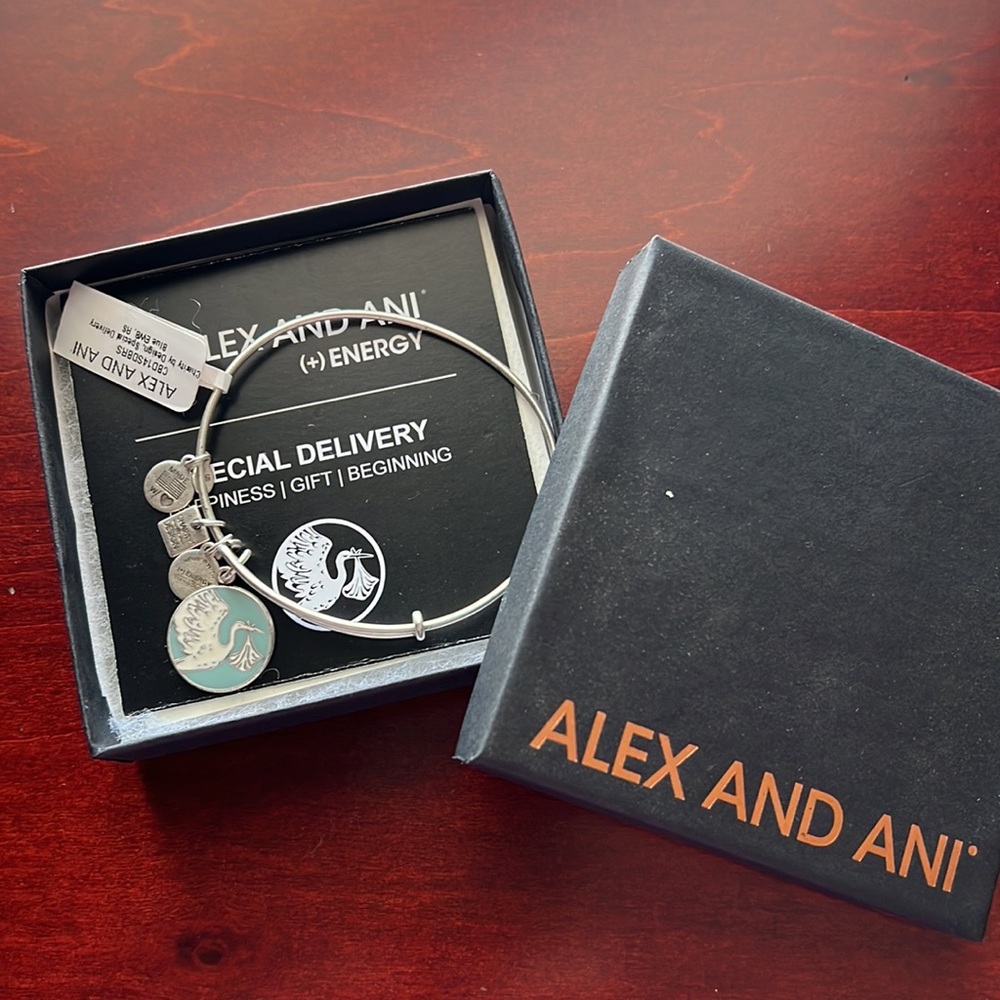 Alex & Ani special delivery baby boy bracelet